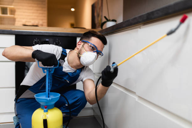 Flea Control Services in Nellieburg, MS