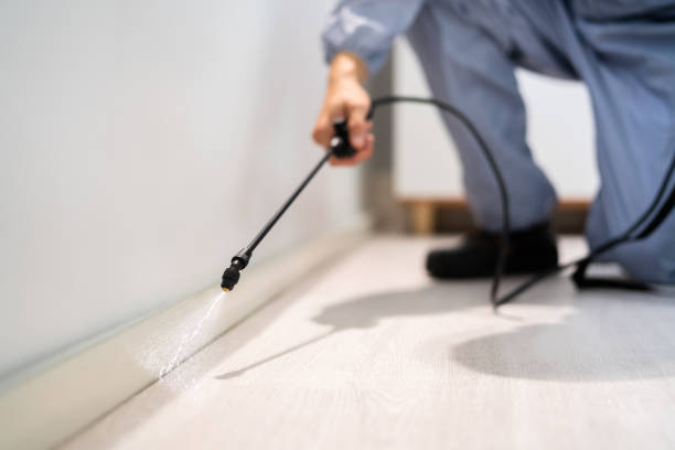 Best Affordable Pest Control Services  in Nellieburg, MS