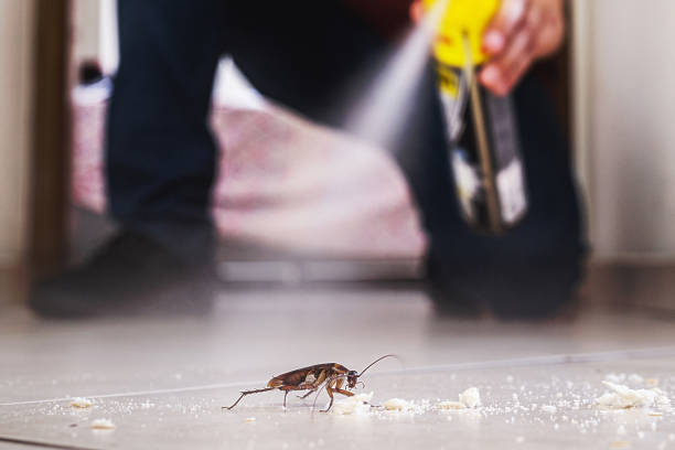 Best Commercial Pest Control Services  in Nellieburg, MS