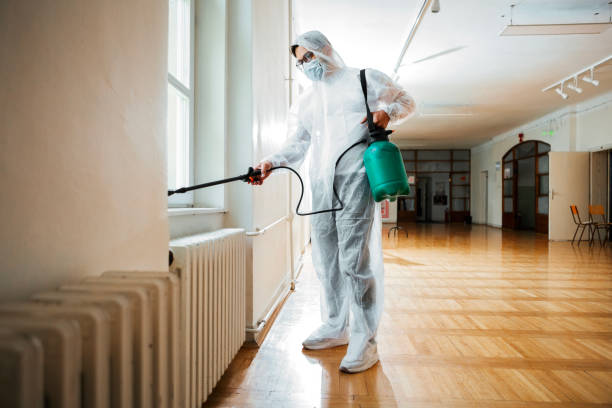 Best Affordable Pest Control Services  in Nellieburg, MS