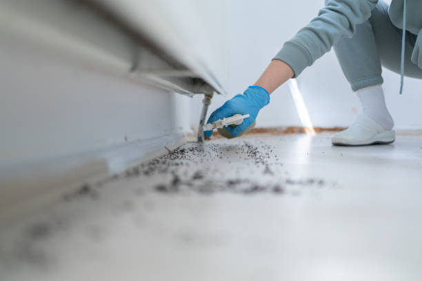 Pest Prevention Services in Nellieburg, MS